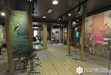 2011 054 ETANG DES LANDES 3.jpg