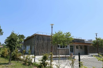 2019 161 IMAGE 2.jpg